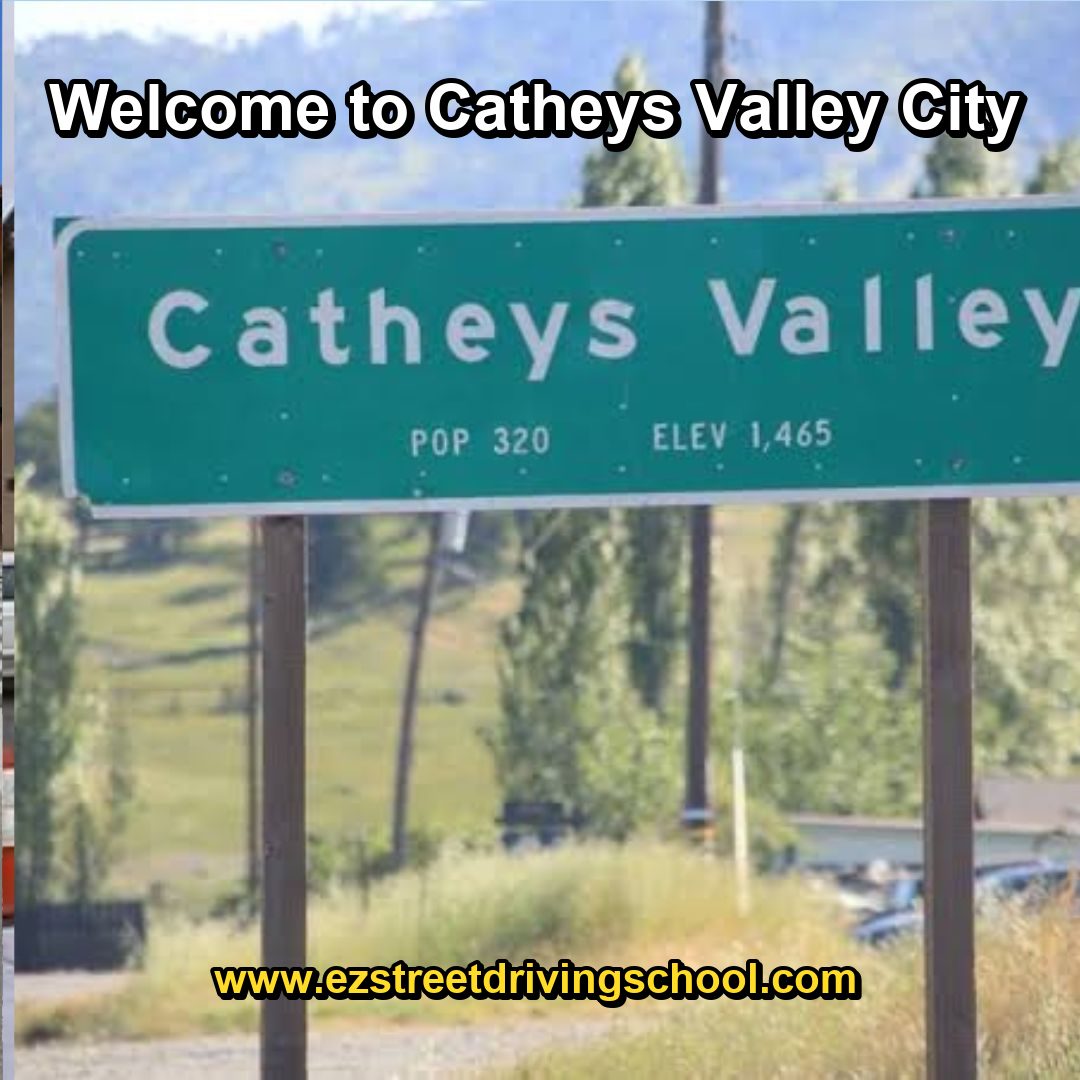 Driving Lessons in Catheys Valley